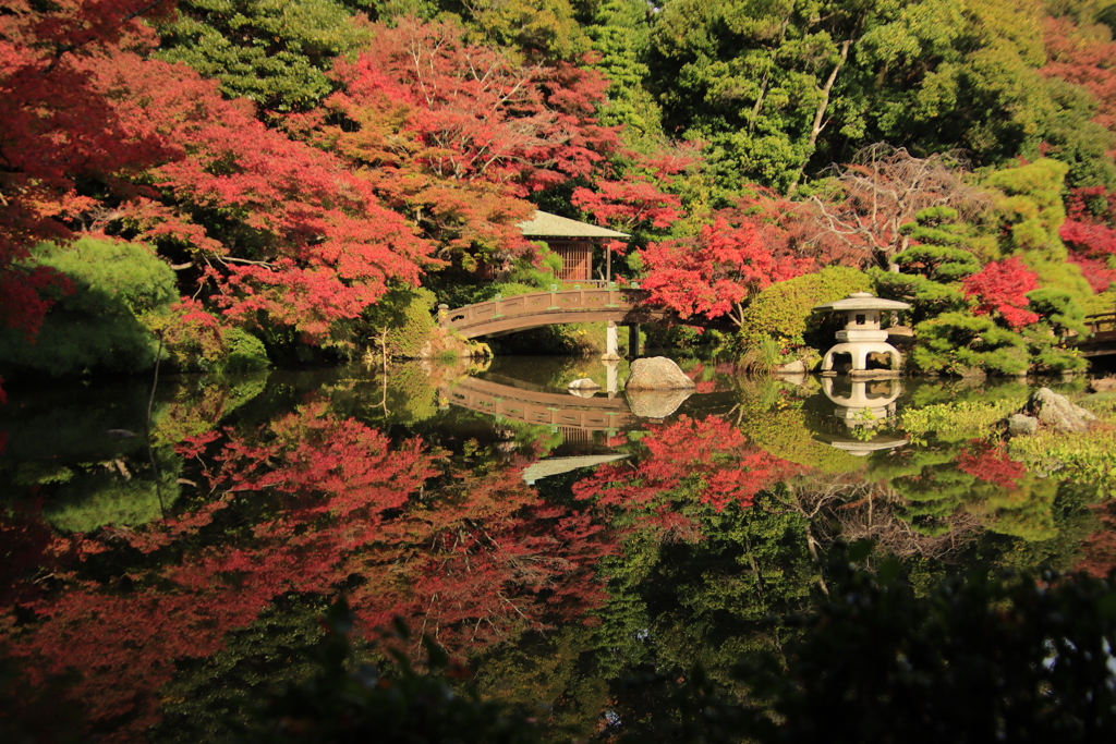 長府庭園紅葉3