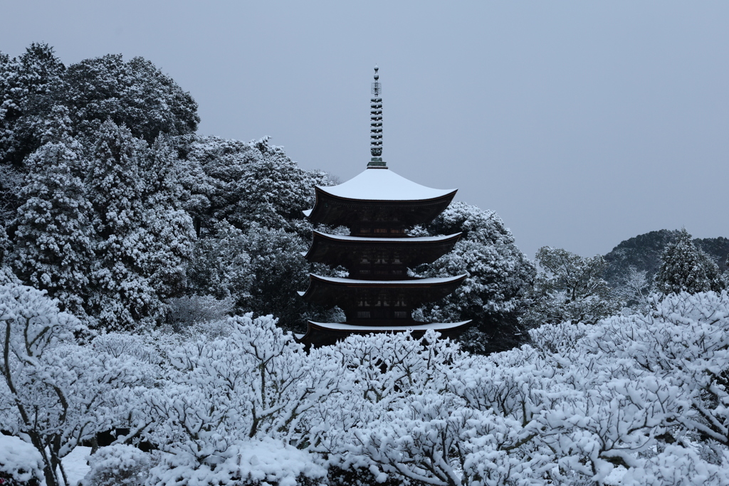 雪の五重塔7