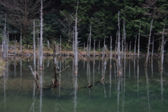 一の俣桜公園水辺3