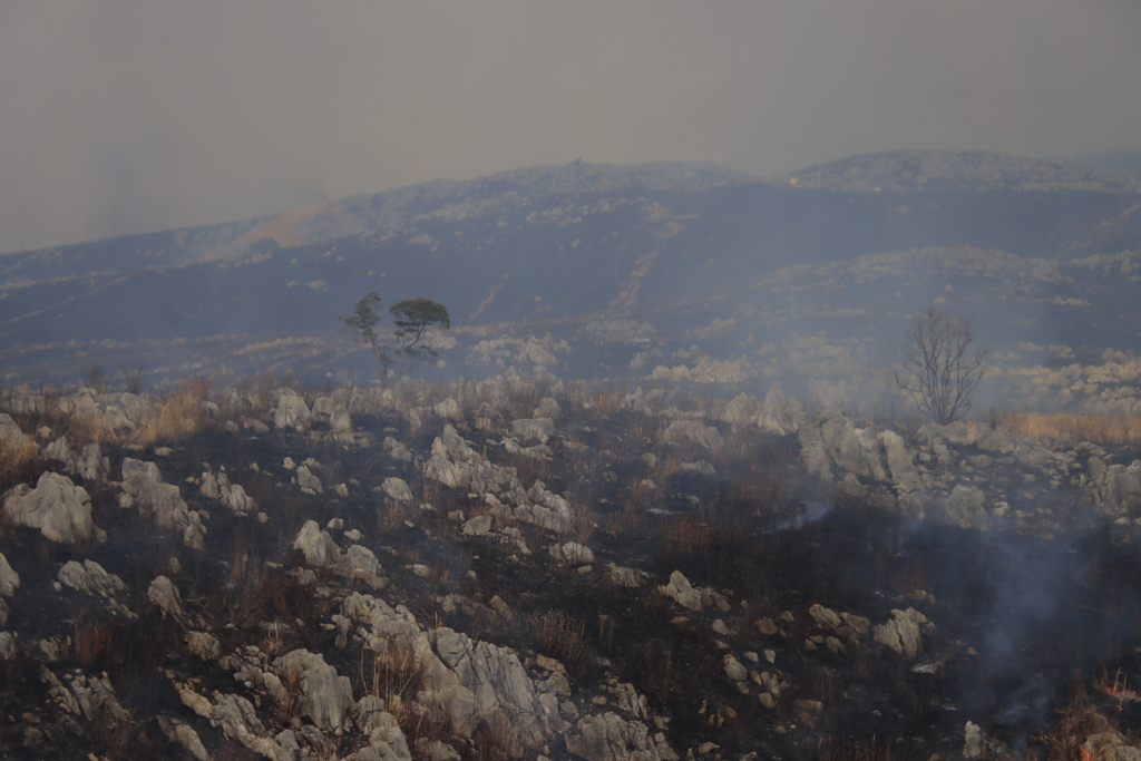 秋吉台山焼き直後