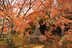 両足寺紅葉2