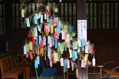 短冊