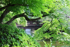長府庭園2
