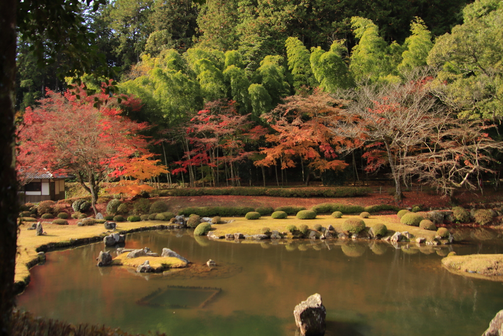 雪舟庭紅葉3