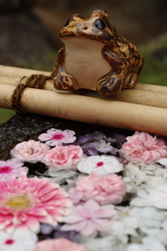 花手水とカエル2