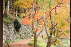 重源の郷の紅葉