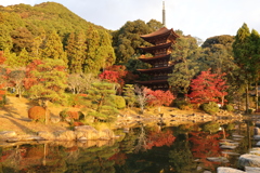 瑠璃光寺の紅葉4