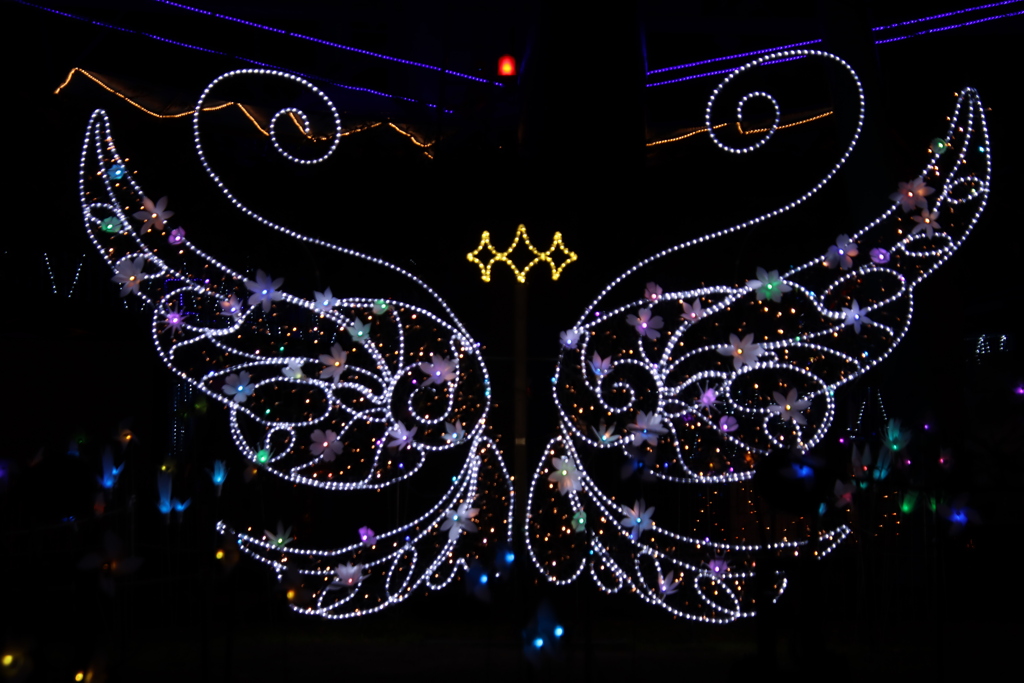 常盤ファンタジア2024-3