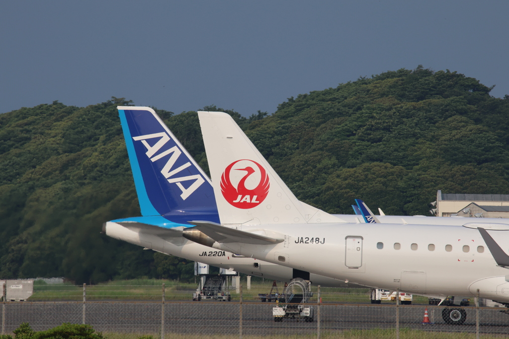 ANA,JAL
