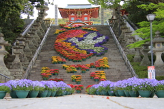 防府天満宮花回廊6