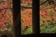 11.9重源の郷紅葉7