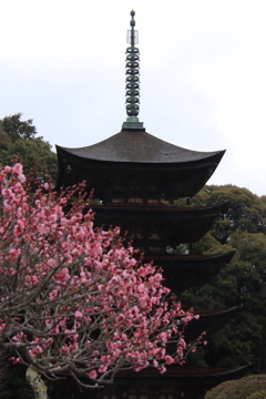 五重塔と梅2
