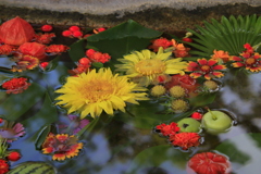 琴崎八幡宮手水２