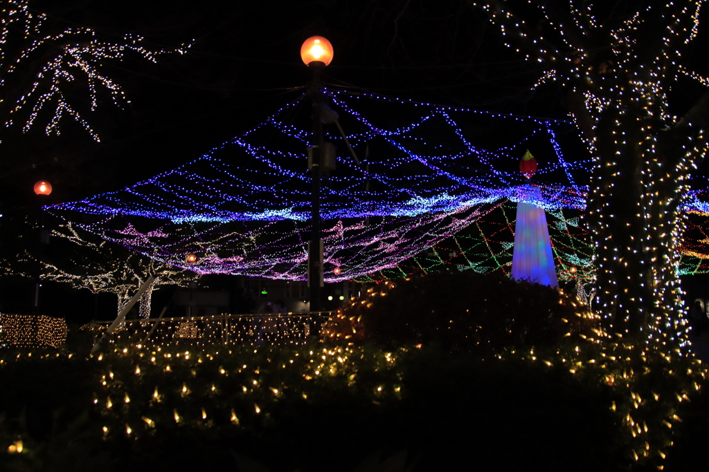 青空公園イルミネーション1