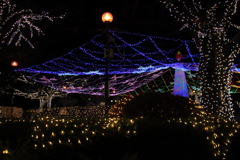 青空公園イルミネーション1