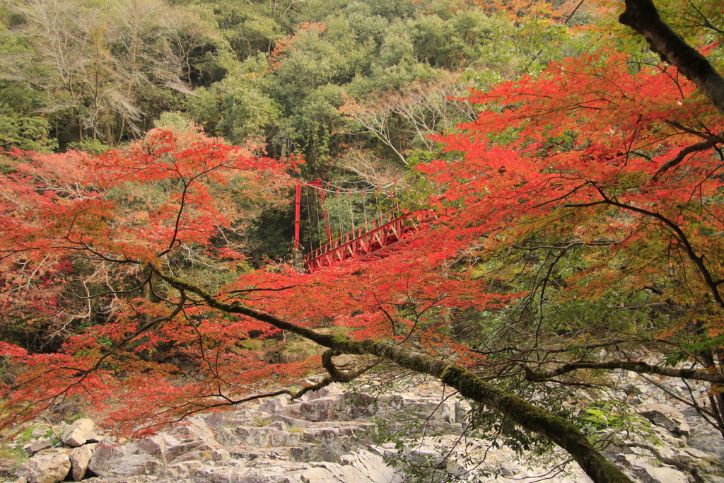 長門峡紅葉3