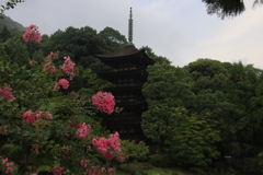 サルスベリと五重塔
