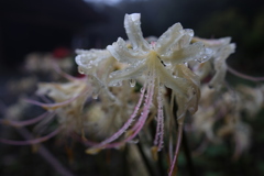 水滴3