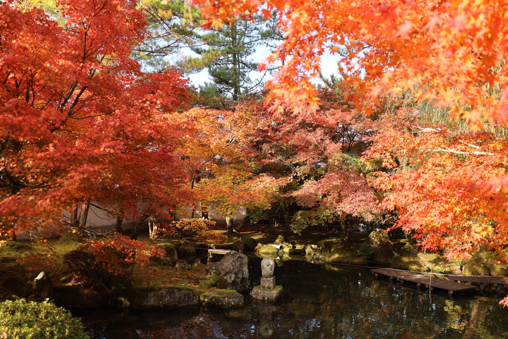 漢陽寺紅葉3