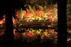 雪舟庭紅葉ライトアップ3