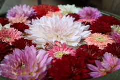 花手水7