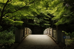 光