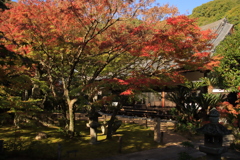 両足寺紅葉