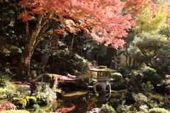 堀氏庭園紅葉5