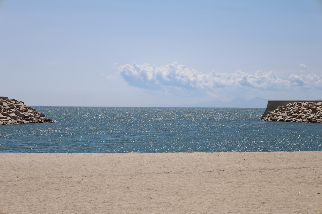夏の海
