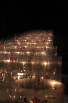 御誕辰祭ボンボリ3