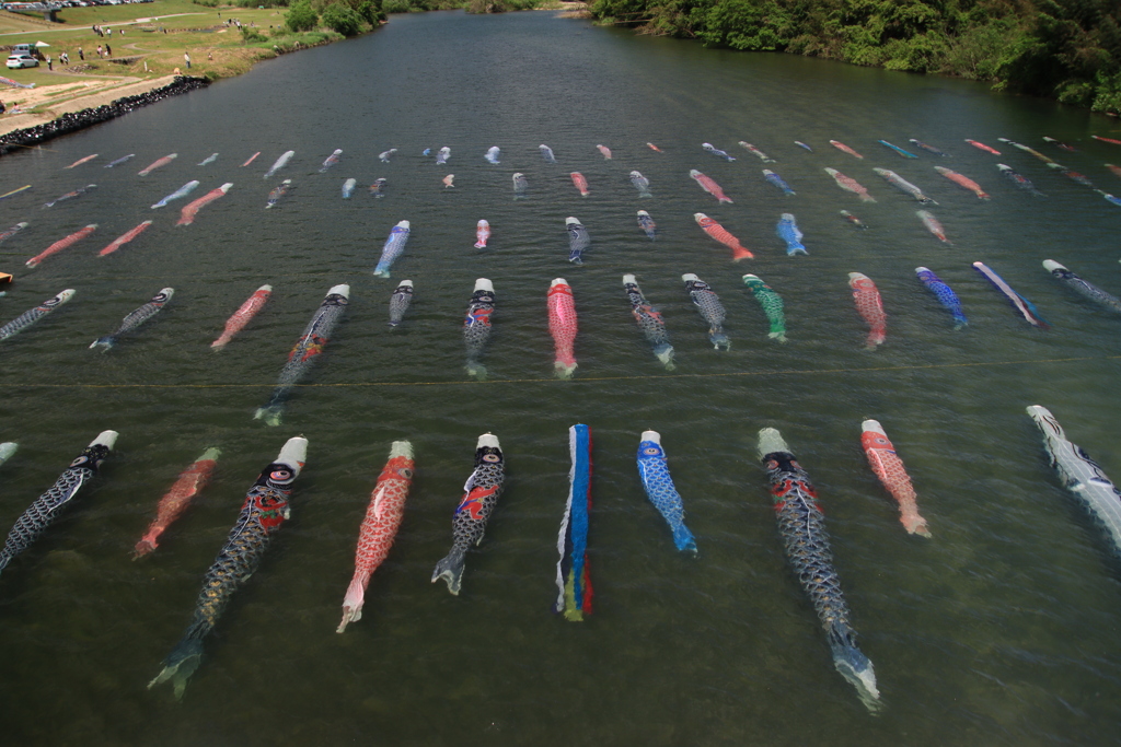 佐波川こいながし2