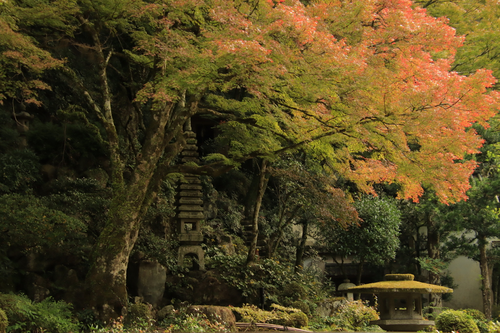 堀庭園紅葉3