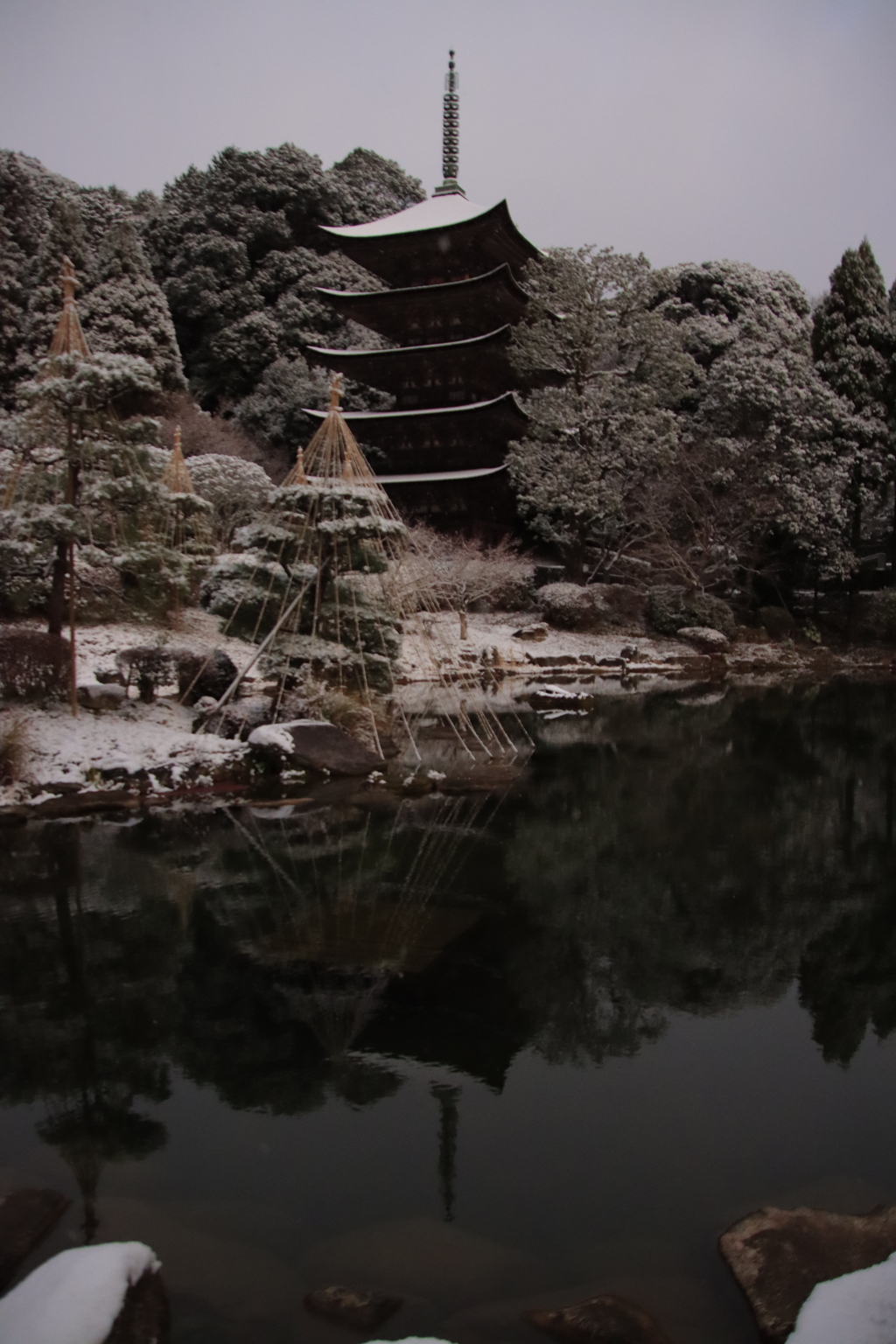 うっすら雪化粧1