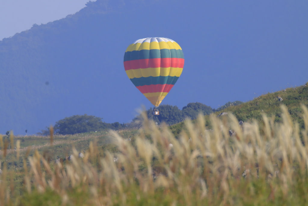 気球とすすき