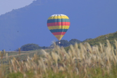 気球とすすき