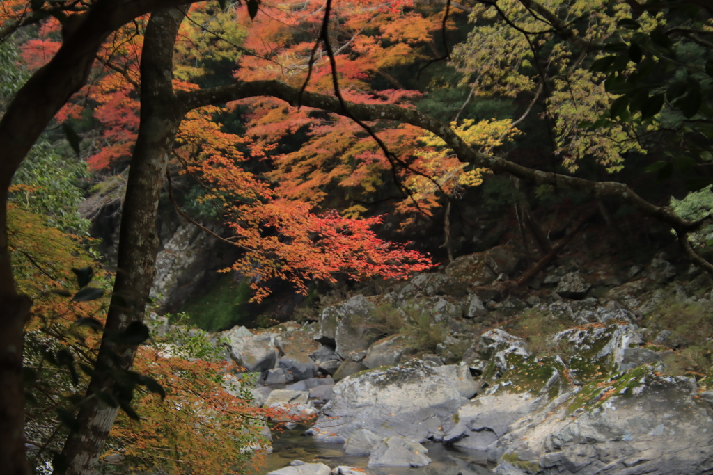 長門峡紅葉2