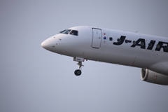 JAL290コックピット