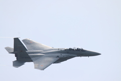 F-15-8