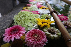 花手水2