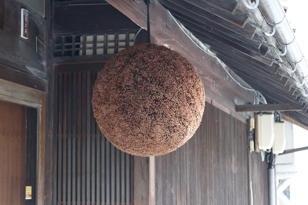 すぎたま