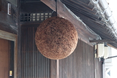 すぎたま