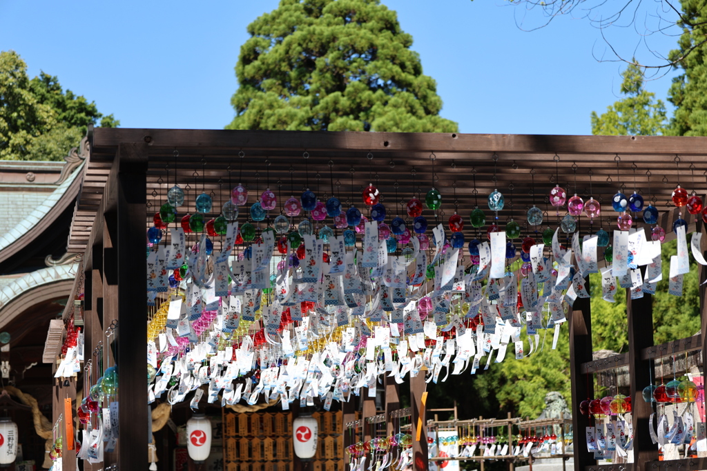 琴崎八幡宮の風鈴
