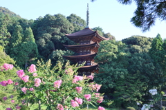 サルスベリと五重塔