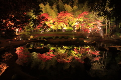 雪舟庭紅葉ライトアップ