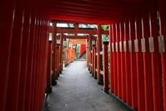 鳥居3