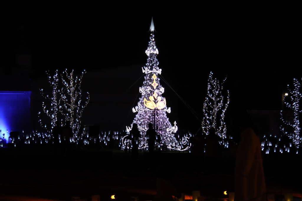 常盤ファンタジア2024-7