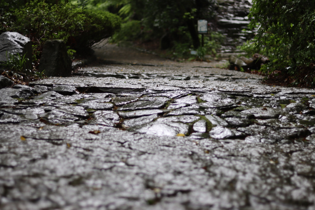 雨の石畳