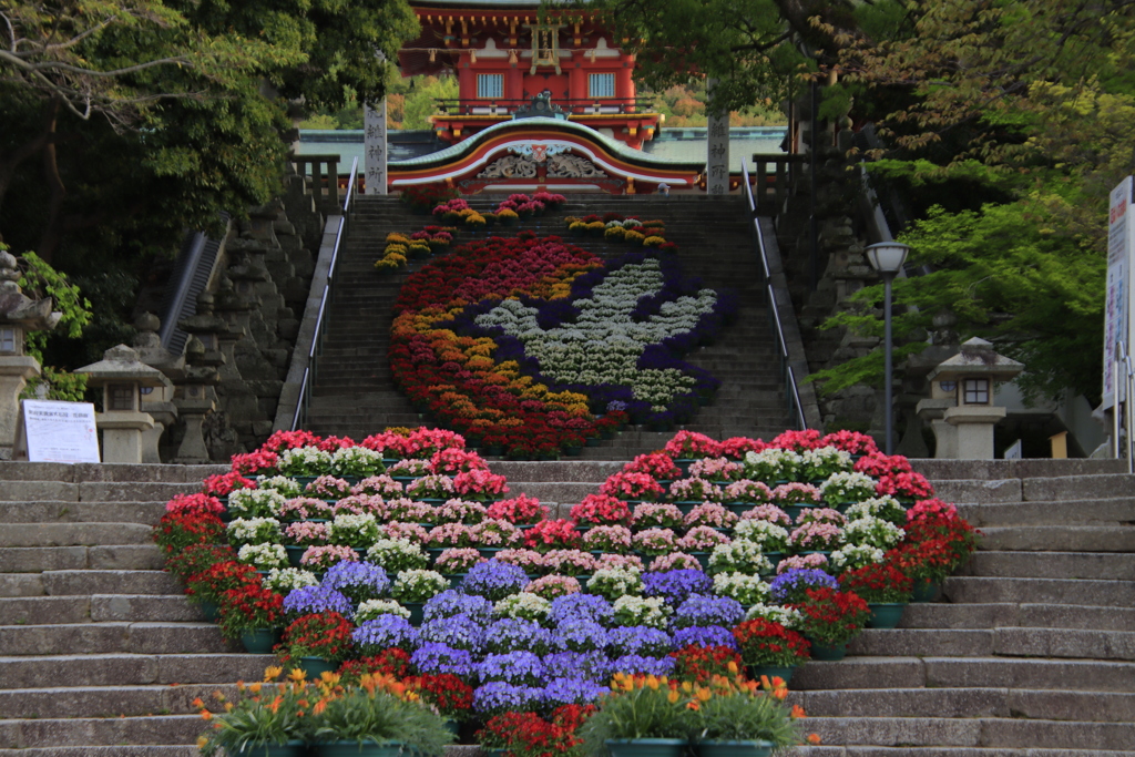 防府天満宮花回廊3