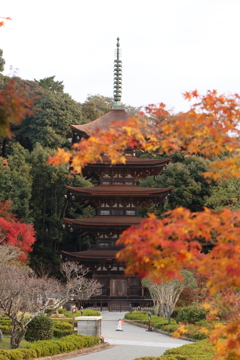 瑠璃光寺の紅葉2