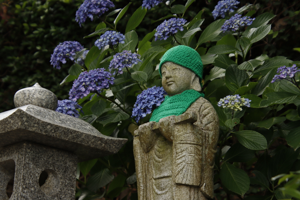 あじさいとお地蔵さん2